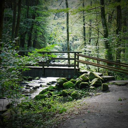 Fewo Kedo Neukirchen vorm Wald المظهر الخارجي الصورة