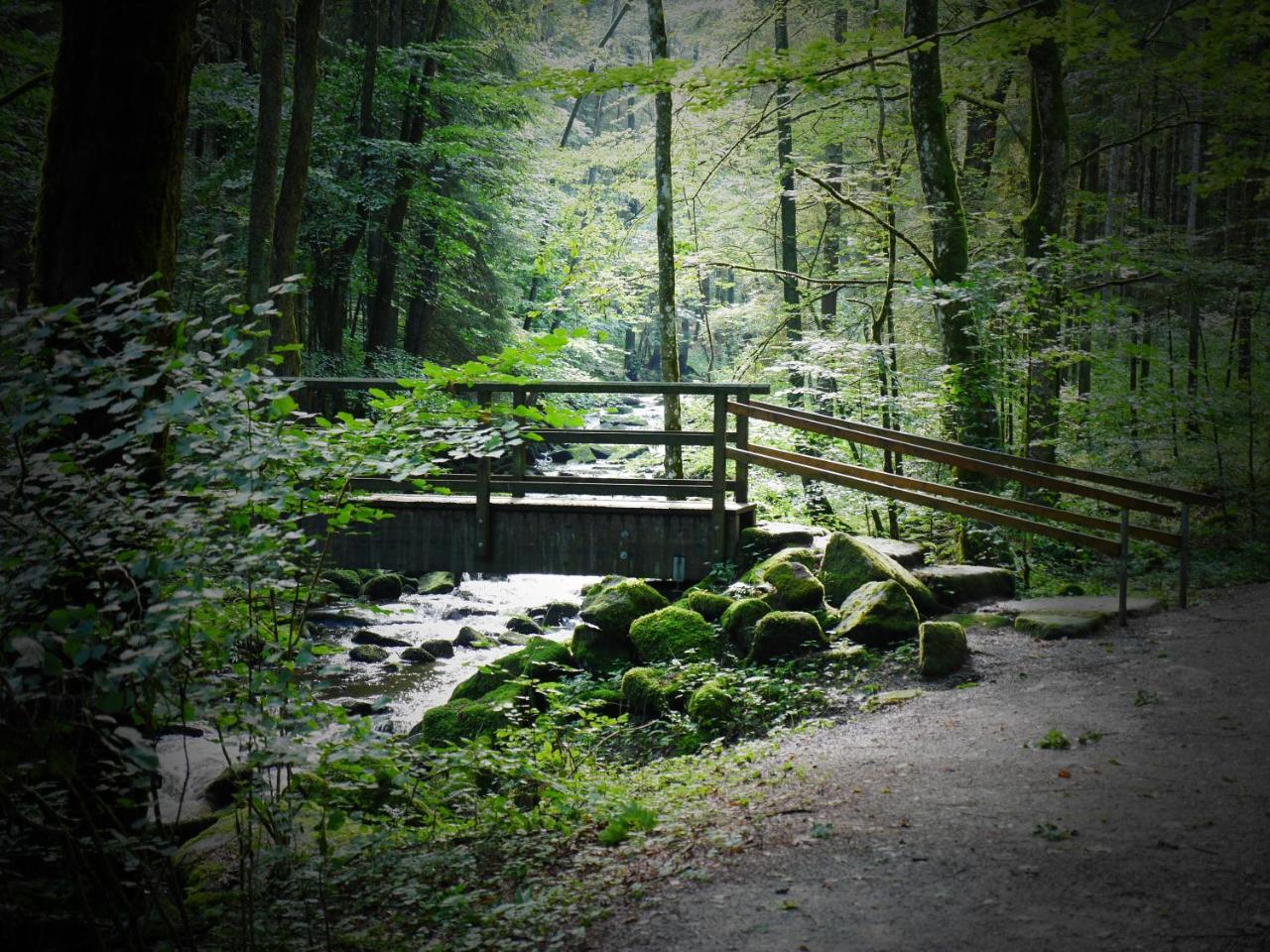 Fewo Kedo Neukirchen vorm Wald المظهر الخارجي الصورة
