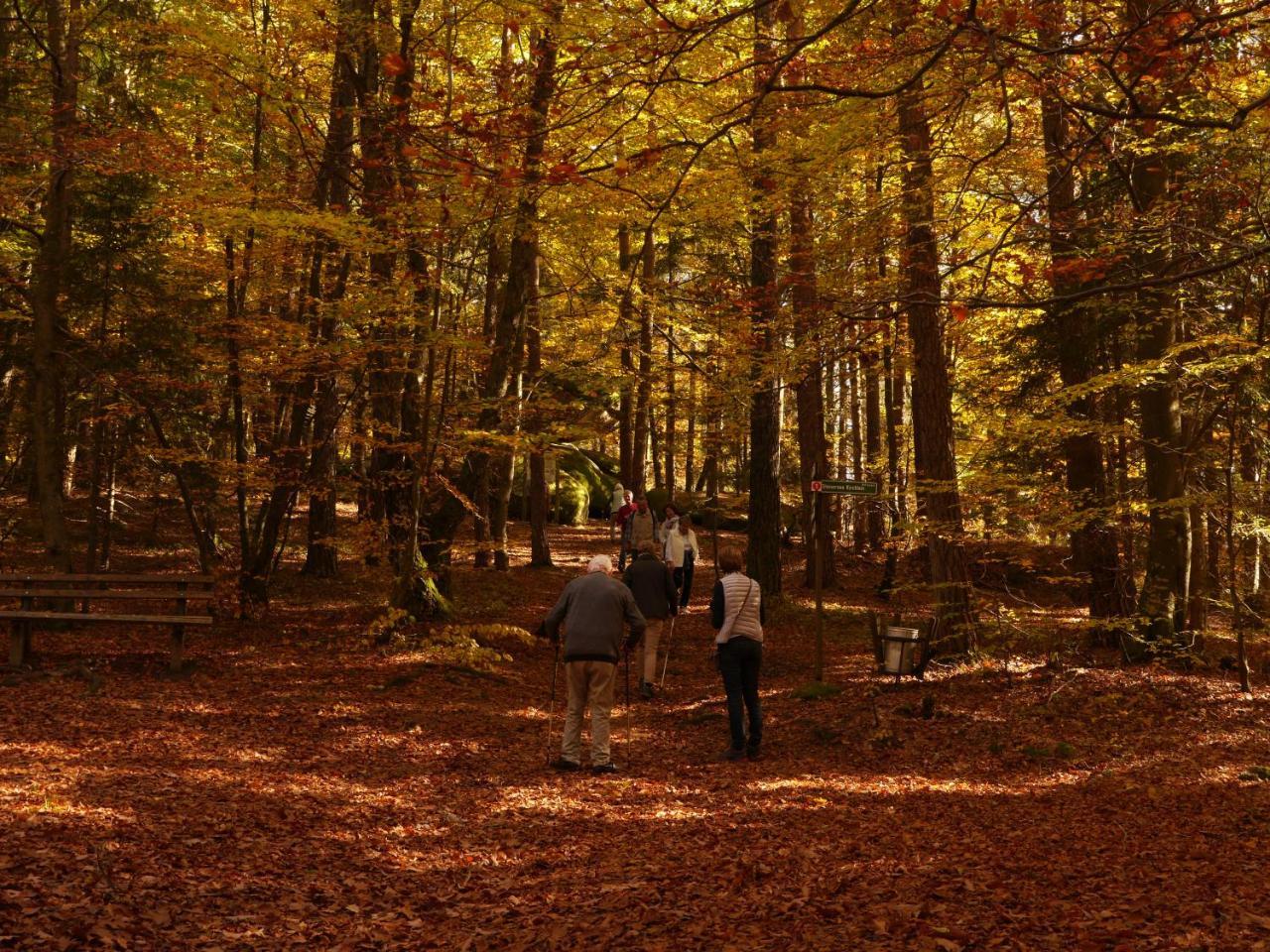 Fewo Kedo Neukirchen vorm Wald المظهر الخارجي الصورة